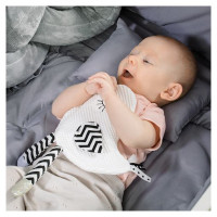 Babyono Čaukstoša rotaļlieta BIRDIE 1536