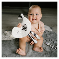 Babyono Čaukstoša rotaļlieta BIRDIE 1536