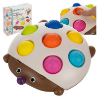 Kruzzel Sensorā rotaļlieta EZĪTIS 24760