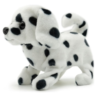 Pugs At Play Staigājo&scaron;s suns "Spotty"