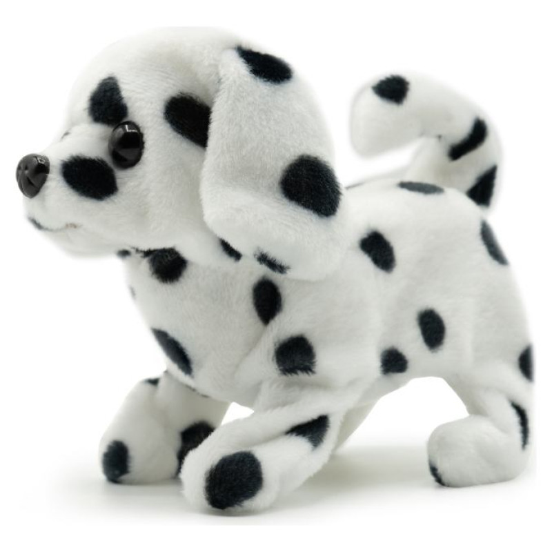 Pugs At Play Staigājo&scaron;s suns "Spotty"