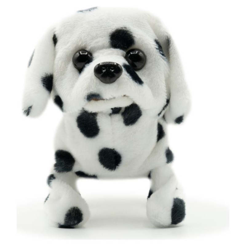 Pugs At Play Staigājo&scaron;s suns "Spotty"