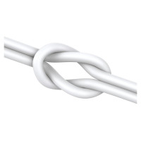 Joyroom JR-EC06 USB-C in-ear headphones - silver