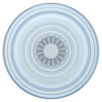 Popsockets PlantCore Grip Ice Blue and Phone Stand