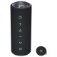 Tronsmart Mirtune C2 24W Bluetooth Portable Speaker - Black