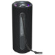 Tronsmart Mirtune C2 24W Bluetooth Portable Speaker - Black