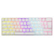 White Shark GK-2022 Shinobi Blue switch, White US