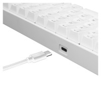 White Shark GK-2022 Shinobi Blue switch, White US