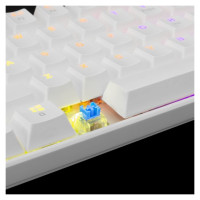 White Shark GK-2022 Shinobi Blue switch, White US