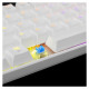 White Shark GK-2022 Shinobi Blue switch, White US