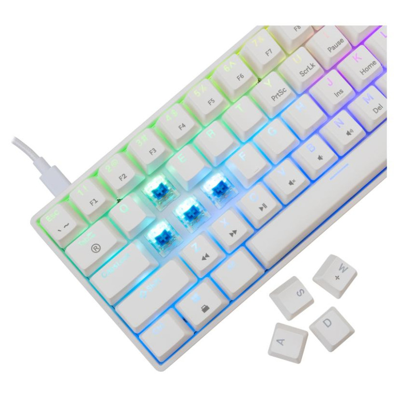 White Shark GK-004221 Shinobi-2  Blue switch, White US