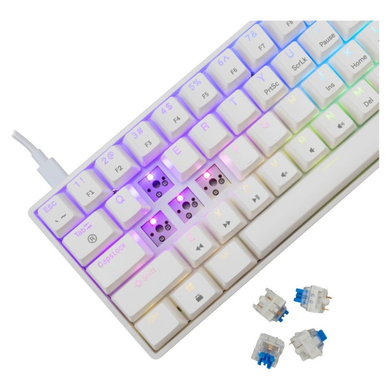 White Shark GK-004221 Shinobi-2  Blue switch, White US