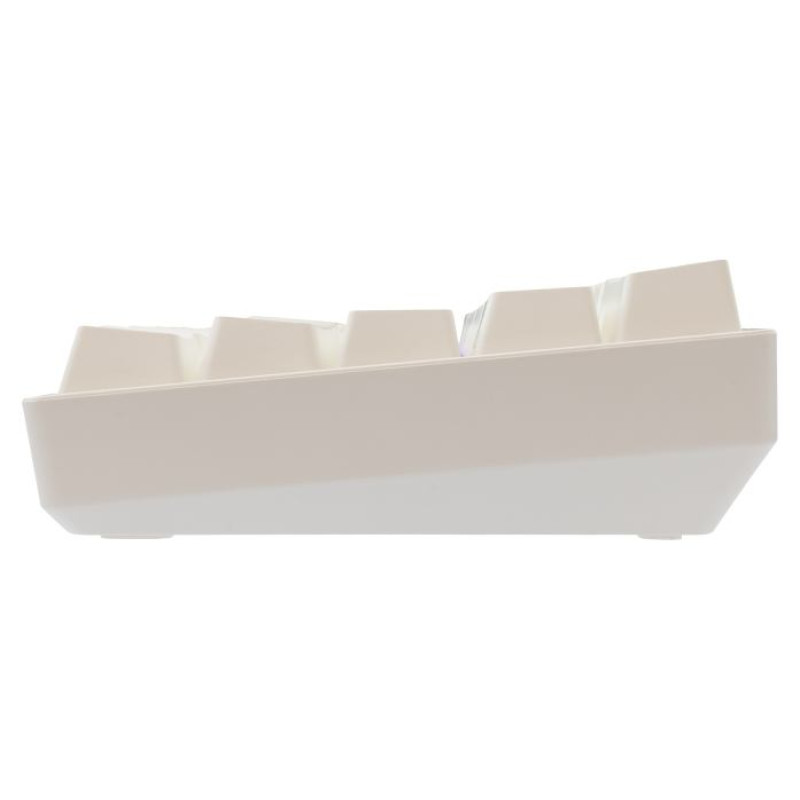 White Shark GK-004221 Shinobi-2  Blue switch, White US