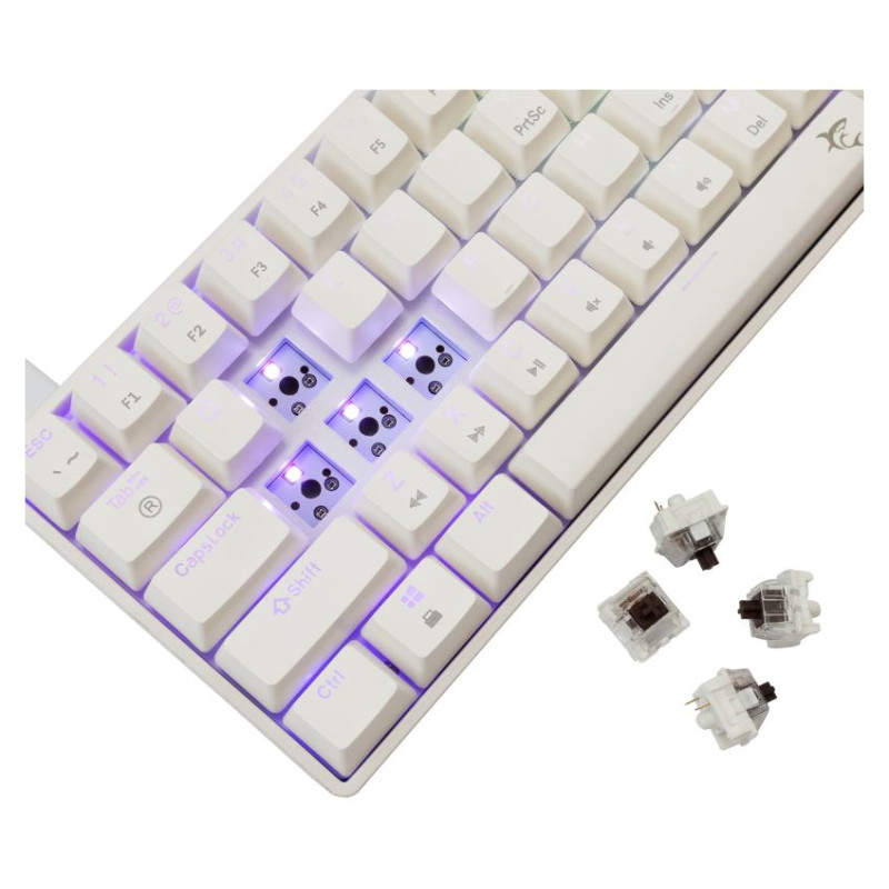 White Shark GK-004231 Shinobi-2 Brown Switch, White US