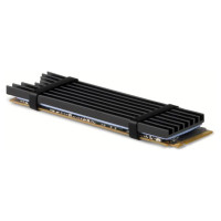 Axagon SSD ACC COOLER M.2 2280/3MM CLR-M2L3 AXAGON