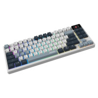 MSI KEYBOARD GAMING BLACK US/FORGE GK600 TKL MSI