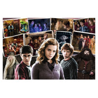 Trefl HARRY POTTER Puzle 160 gab.