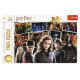 Trefl HARRY POTTER Puzle 160 gab.
