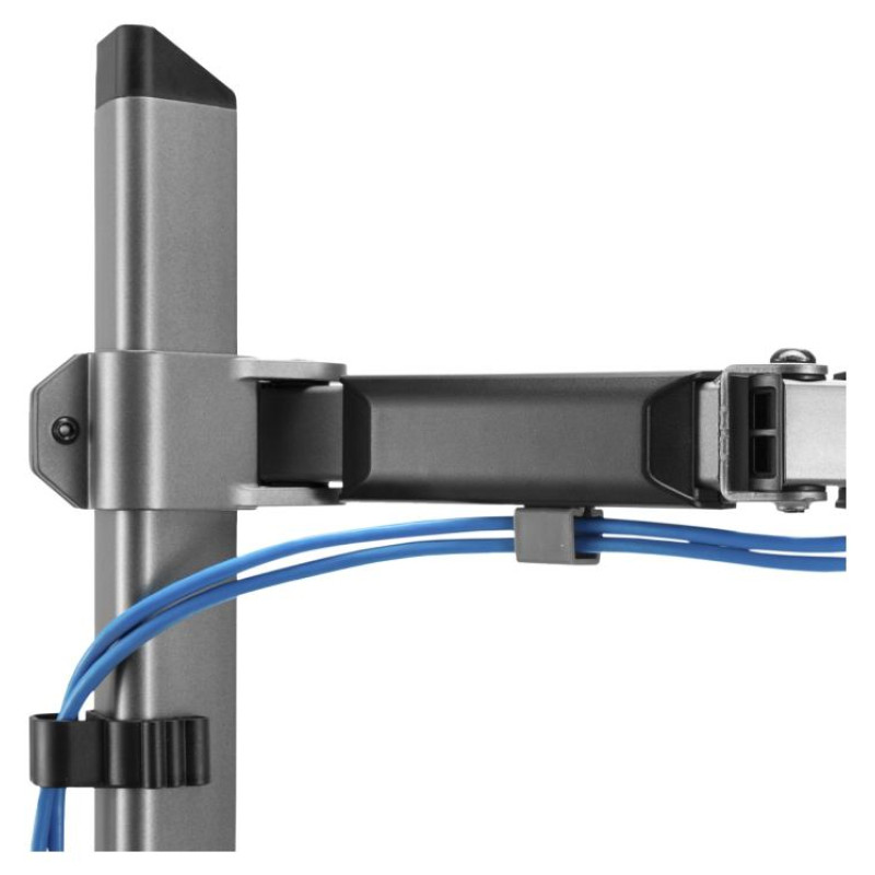 White Shark GMS-3204 Amenhotep I