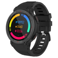 Denver SWG-339