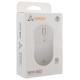 Sbox WM-852 White Wireless