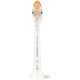 Sonicare A3 Premium All-in-One zobu sukas uzgaļi, 2gab, balts - HX9092/87