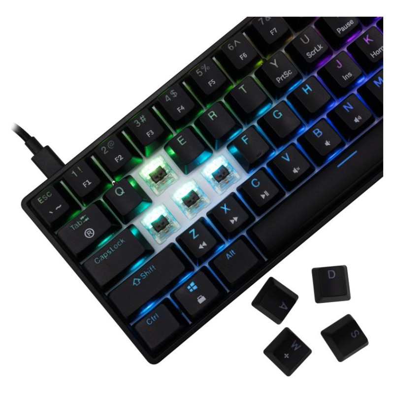 White Shark GK-004131 Shinobi-2 Brown switch, Black US