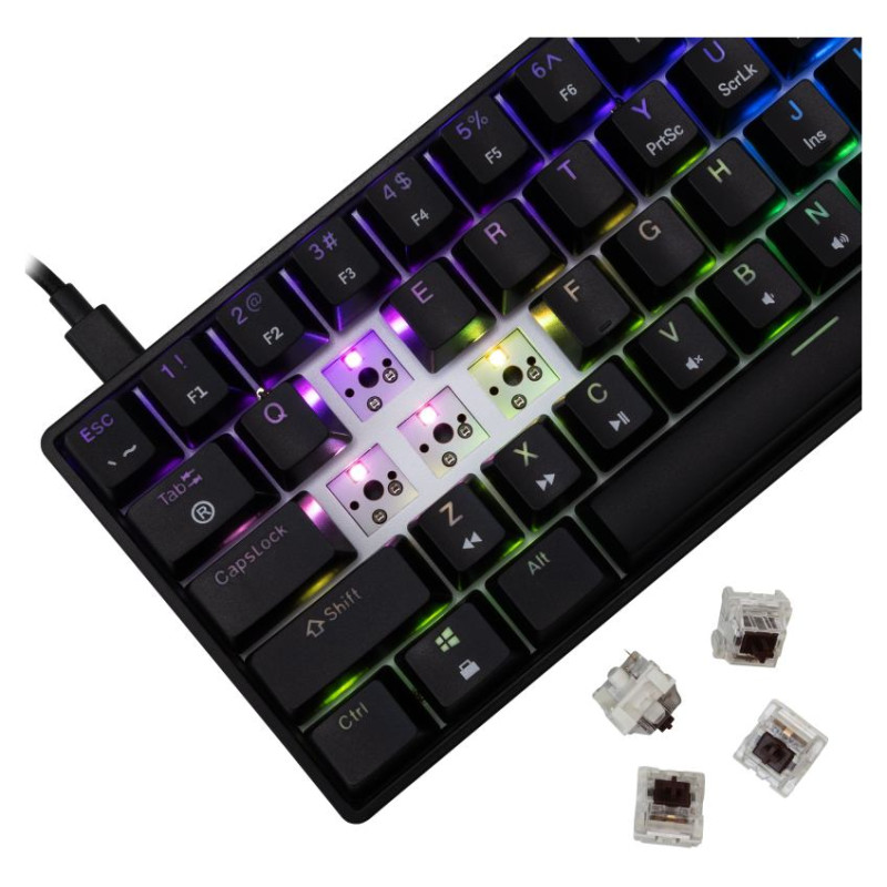 White Shark GK-004131 Shinobi-2 Brown switch, Black US