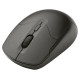 Tracer 47454 Wireless Optical Mouse Boss RF Nano Black
