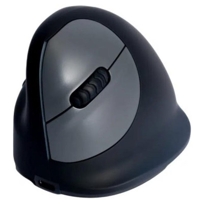 R-Go Tools MOUSE USB OPTICAL WRL/LEFT BLACK RGOHEWLL R-GO TOOLS