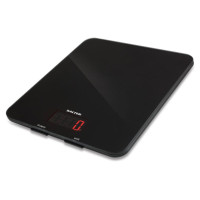 Salter 1160 BKDR High Capacity black