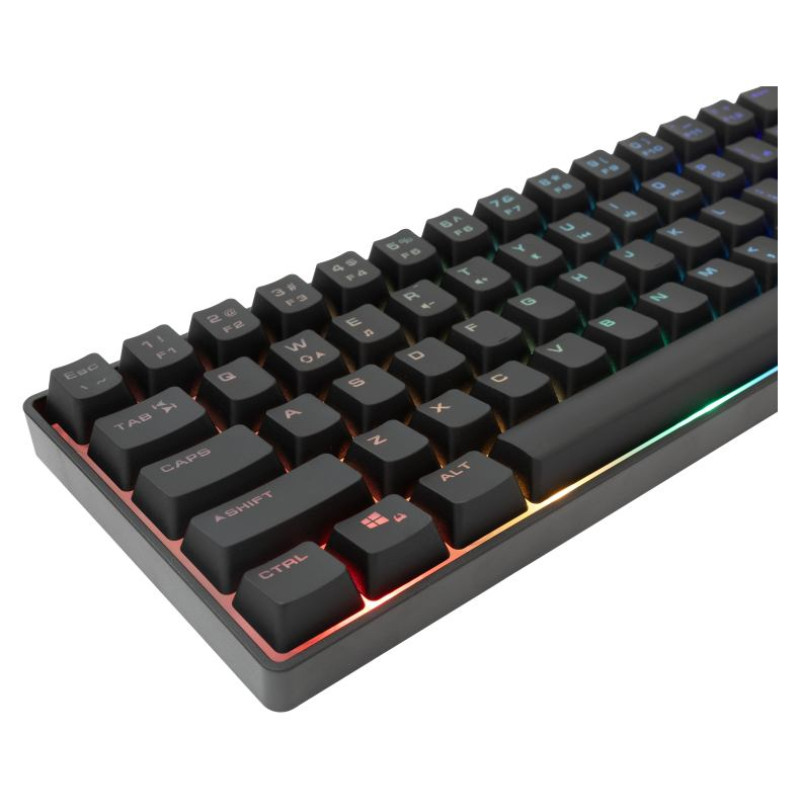 White Shark GK-001114 Gladius US