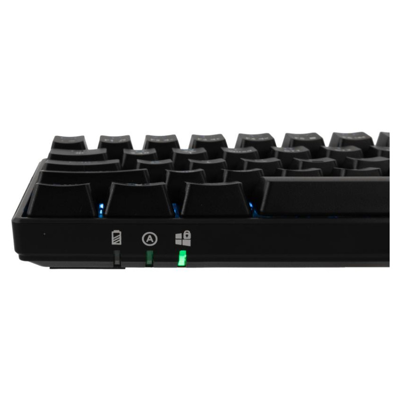 White Shark GK-003111 Premium Line Kaiken US