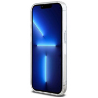 Dkny IML Mono & Stripe MagSafe case for iPhone 13 Pro Max - black