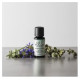 Ellia ARM-EO15WD-WW Wind Down 100% Pure Essential Oil - 15ml