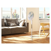Beper P206VEN102