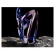 Rockbros FK338 Bike Bottle Holder - Blue and Purple