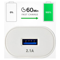 SBS TETR1USB2AWFAST 10W USB-A Wall Charger - White