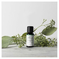 Ellia ARM-EO15EUC-WW Eucalyptus 100% Pure Essential Oil - 15ml