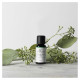 Ellia ARM-EO15EUC-WW Eucalyptus 100% Pure Essential Oil - 15ml