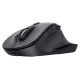 Trust MOUSE USB OPTICAL WRL/FYDA 25708 TRUST