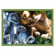 Trefl JURASSIC WORD Pužļu komplekts 4in1, 35+48+54+70 gab.