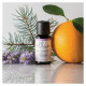 Ellia ARM-EO15BC-WW2 Be Centered 100% Pure Essential Oil - 15ml