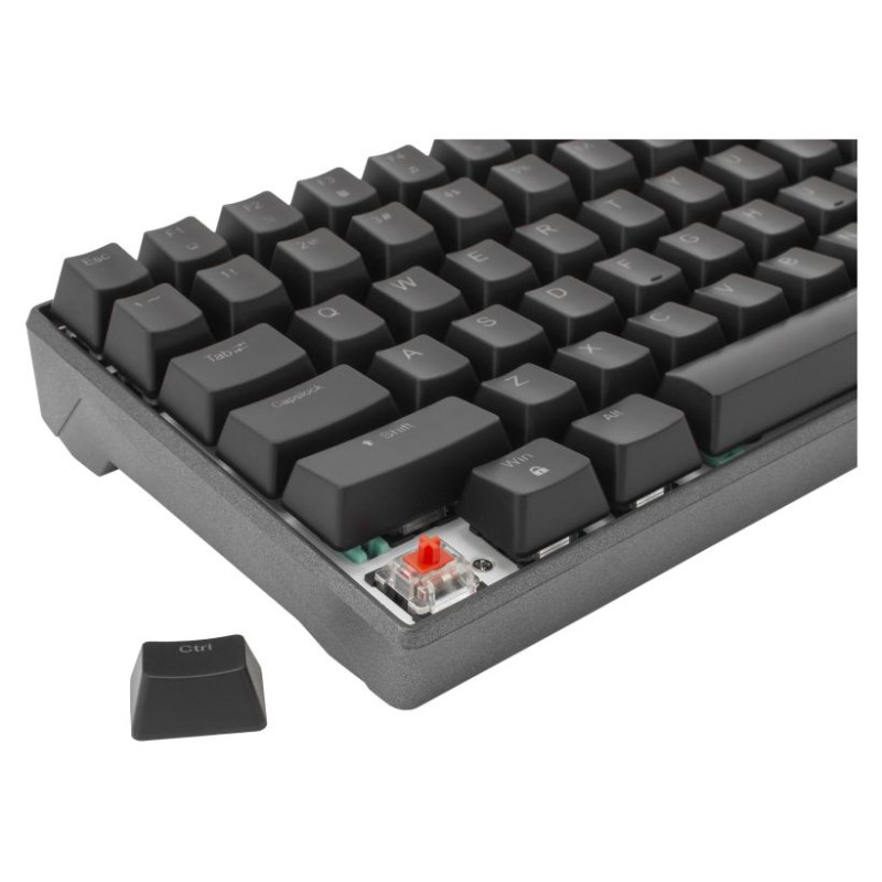 White Shark ESL-K2 Premium Line  Katana US