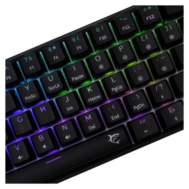 White Shark GK-004121 Shinobi-2 Blue Switch, Black US