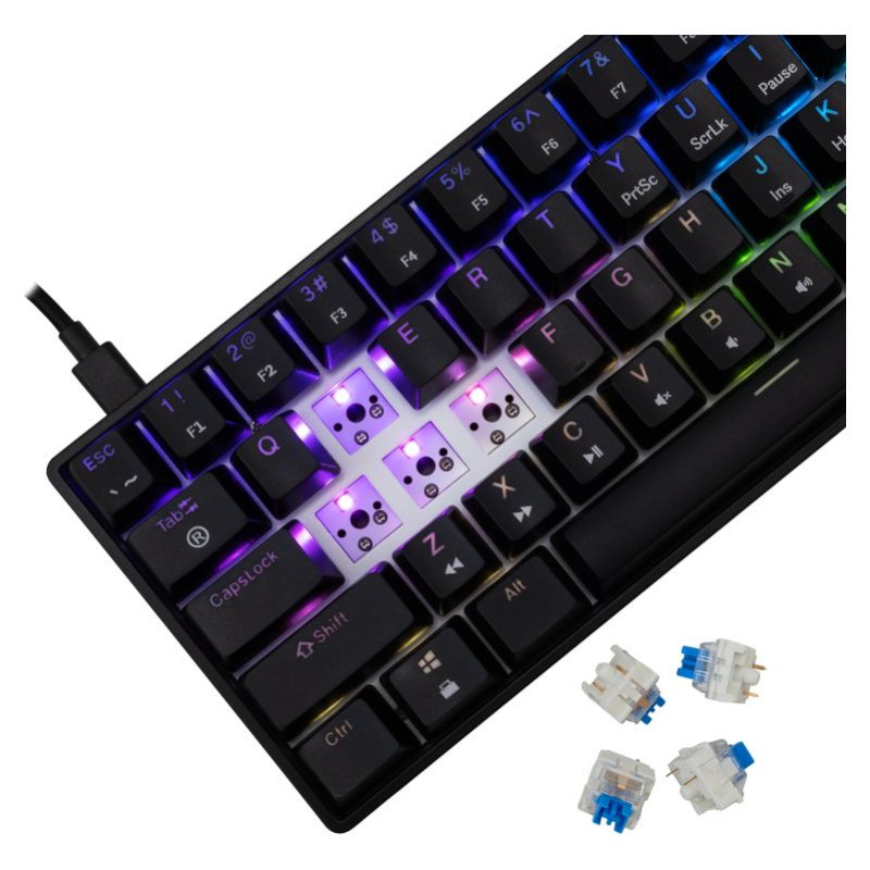 White Shark GK-004121 Shinobi-2 Blue Switch, Black US