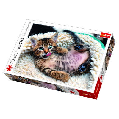 Trefl Puzle kaķi, 1000 gab.