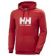 Helly Hansen Logo Hoodie M 33977-163 (L)
