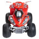 Feber Brutale Quad 12V