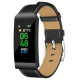 Denver BFH-250 Black